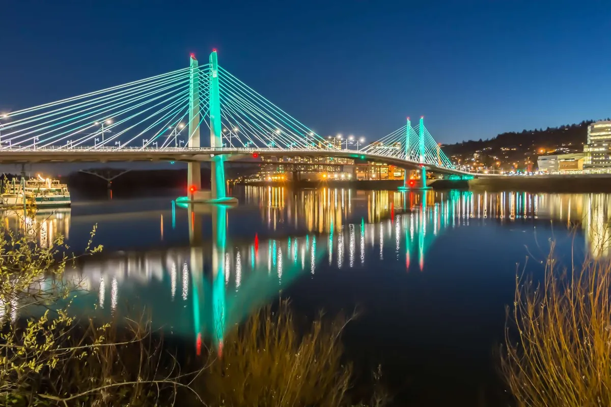 This image features an inviting exterior setting with a picturesque bridge, reflective water, and glowing city lights. The scene exudes tranquility and offers a sense of openness, suggesting spacious outdoor areas ideal for exploration and relaxation.